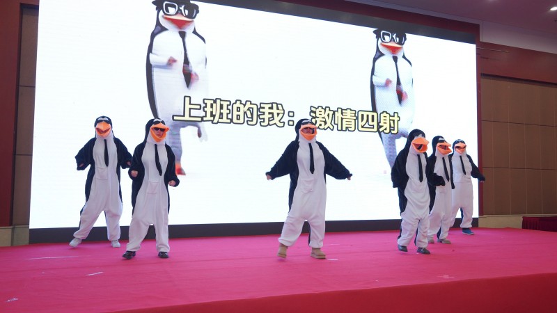 保研录2026年年会盛典:同心同行·马到功成