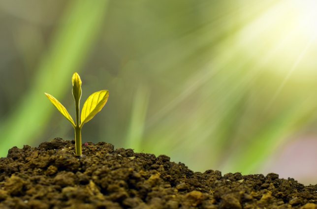 宝付支付深耕数智科技,引领电商行业转型升级