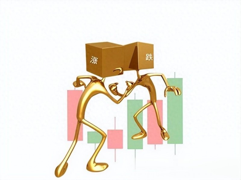 “必修 个性化” 双轨设计,助力投资者形成专属投资体系